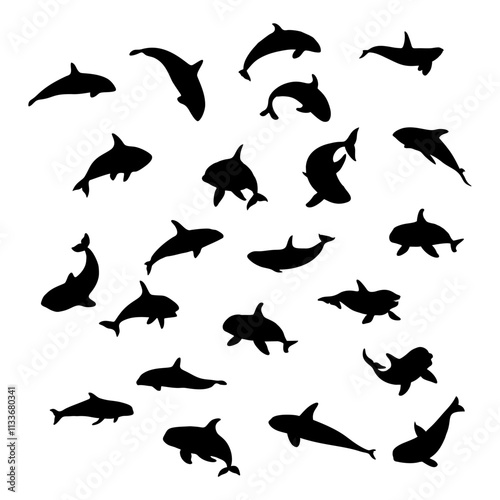 black silhouette of orca whale
