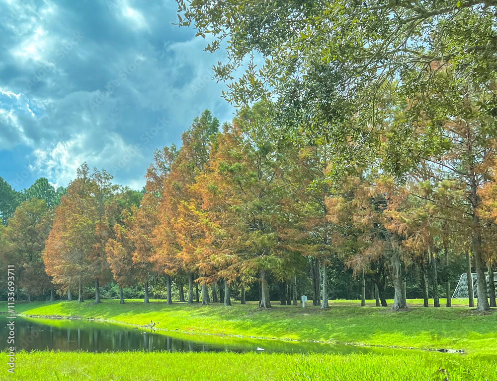 Naklejka premium A serene landscape with autumnal trees lining a reflective pond, vibrant green grass, and a soccer goal in the distance under a sky filled with dramatic clouds.