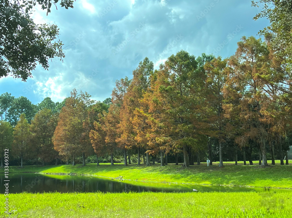 Naklejka premium A peaceful park scene with vibrant autumn trees reflected in a calm pond, surrounded by lush green grass and framed by a dramatic, cloud-filled sky.