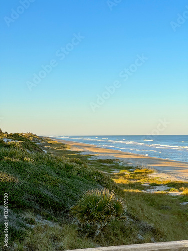 A serene coastal view showcasing a lush green shoreline, golden sand, and gentle ocean waves under a clear blue sky.