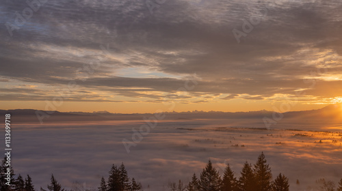 Golden sunrise over Fraser Valley, BC, covered by dense cloud inversion, with alpine mountains on far horizon.