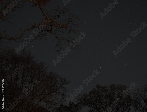 starry sky in November