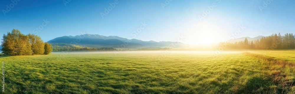 Stunning panoramic view of a foggy meadow. Stunning panoramic view of a foggy meadow.