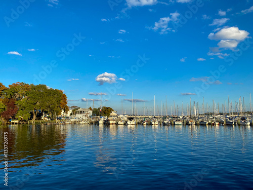Sailboats stand tall in a serene marina under a vivid blue sky. The shimmering water reflects the vibrant trees and the quiet charm of the harbor on a perfect sunny day.