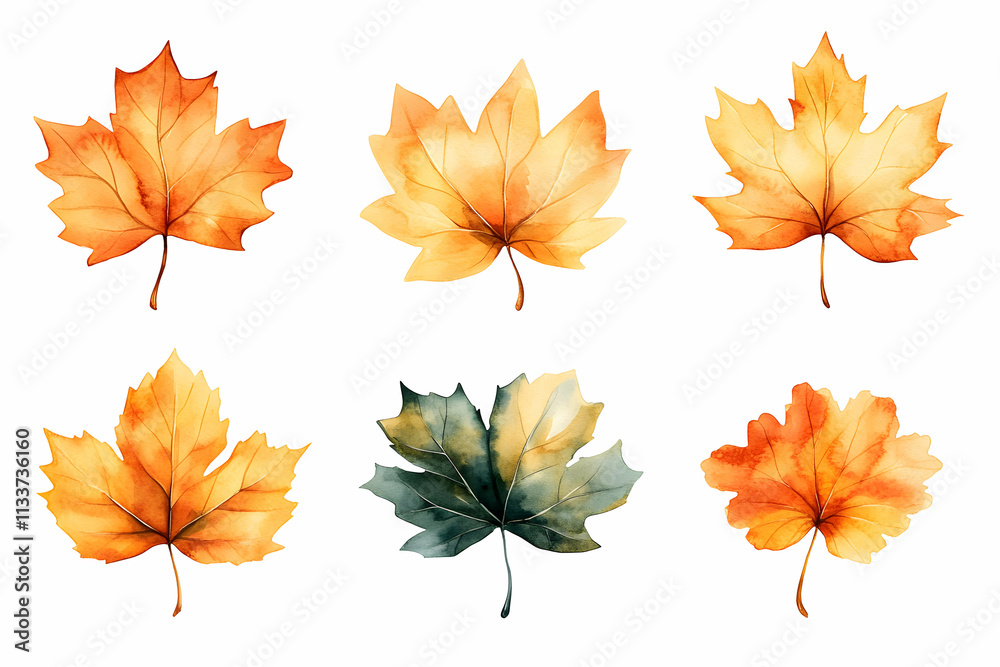 Fototapeta premium Autumn Watercolor Leaves Collection, Six Vibrant Fall Foliage Illustrations Depicting Nature's Seasonal Change Beautifully.