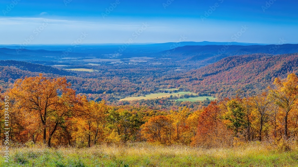 Fototapeta premium Scenic Autumn Landscape with Colorful Foliage in Mountain Valley