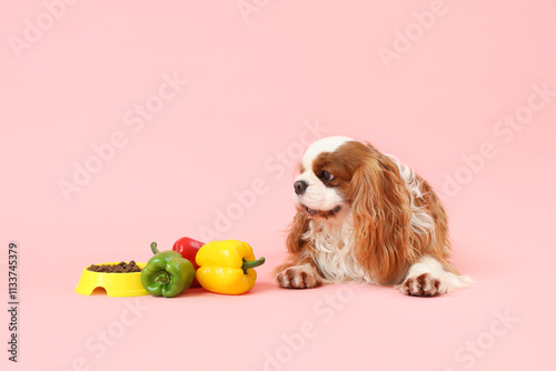 Cute cavalier King Charles ...