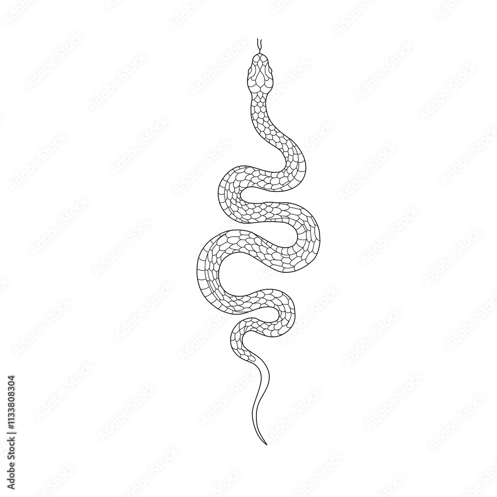 illustration of an background illustration of an background