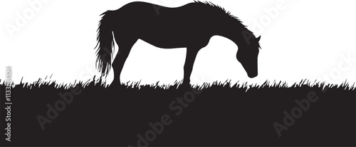 Silhouette of horse grazing on graphic vector