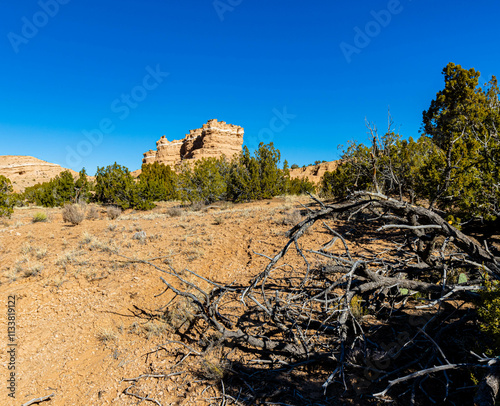 Sandstone Rock Formations and Canyon at The Nambe Badlands, Nambe, New Mexico, USA photo