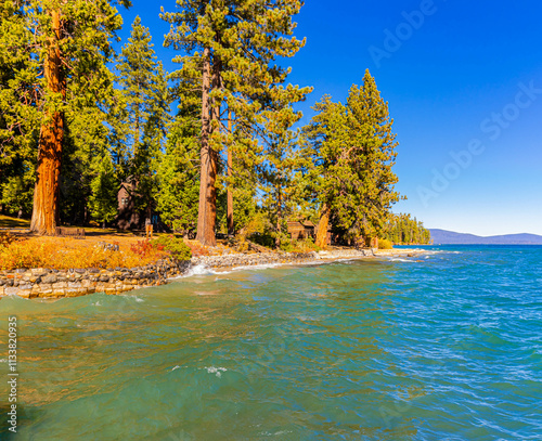 Cabins and Pine Forest on Sugar Pine Point, Lake Tahoe, Ed Z'berg- Sugar Pine Point State Park, Tahoma, California, USA photo