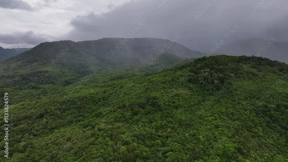 Green mountains shrouded in a light mist with a rainy atmosphere, creating a cool and soothing natural scene under a cloudy sky Green mountains shrouded in a light mist with a rainy atmosphere, creating a cool and soothing natural scene under a cloudy sky