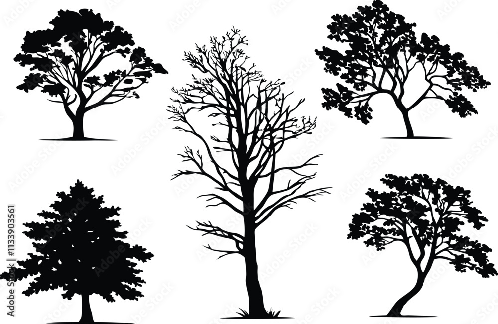 Obraz premium Set of 5 different deciduous tree silhouettes in vector illustration