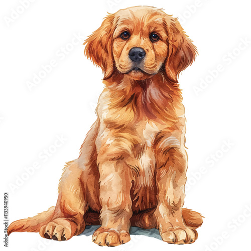 watercolor of beautiful golden retriever puppy cartoon