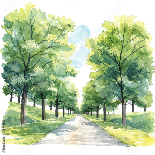 watercolor of charming country road lined with trees cartoon