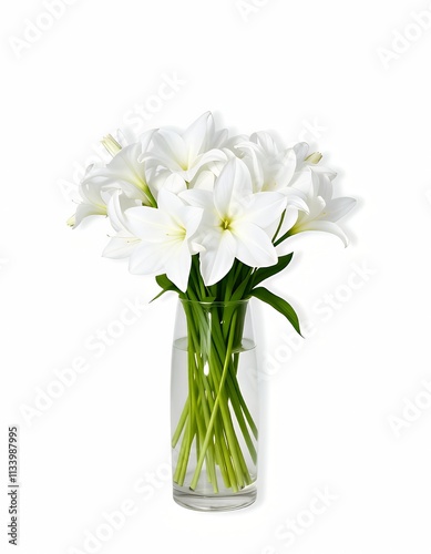 there is a vase with white flowers in it on a white background.