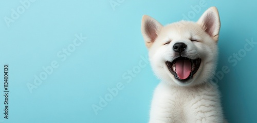 Happy puppy with mouth open against a light blue background.