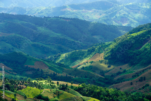 Lush Green Mountain Landscape Under Clear Blue Sky in Daylight