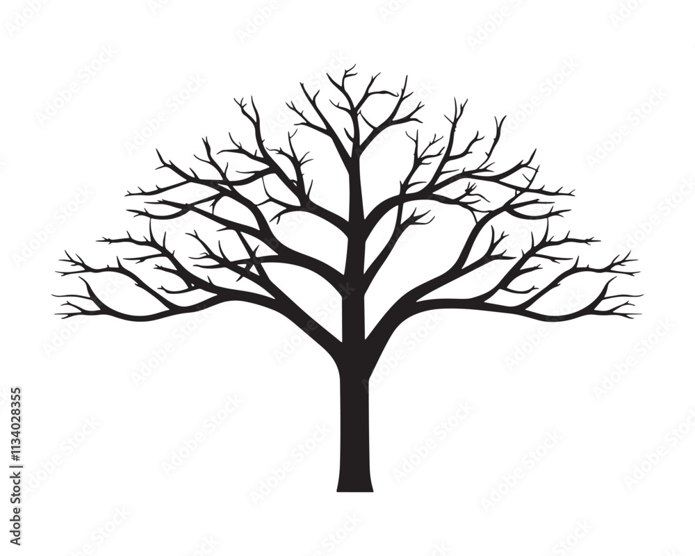 Tree without leaves vector silhouette illustration Tree without leaves vector silhouette illustration
