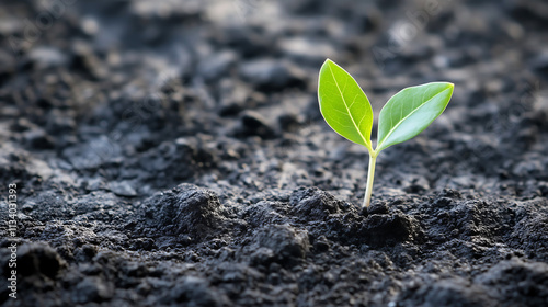 Young sprout growing in fertile soil. Close-up, copy space. Agriculture, smart farming. New improved concept.