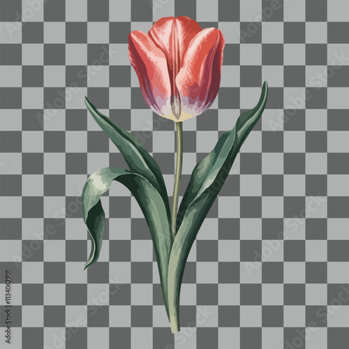 Floral Tulip Vectors for Every Occasion.