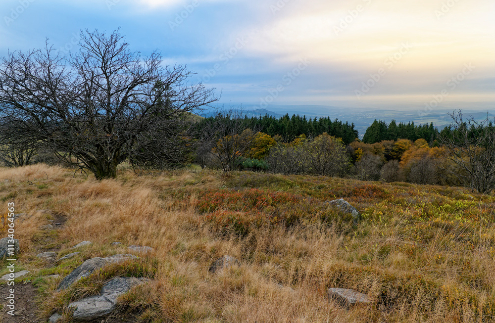 Rhönlandschaft zwischen Pferdskopf und Wasserkuppe, Gemeinde Poppenhausen, Biosphärenreservat Rhön, Hessen, Deutschland Rhönlandschaft zwischen Pferdskopf und Wasserkuppe, Gemeinde Poppenhausen, Biosphärenreservat Rhön, Hessen, Deutschland