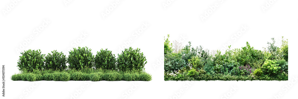 Fototapeta premium Set of Lush garden bushes isolated on a transparent background