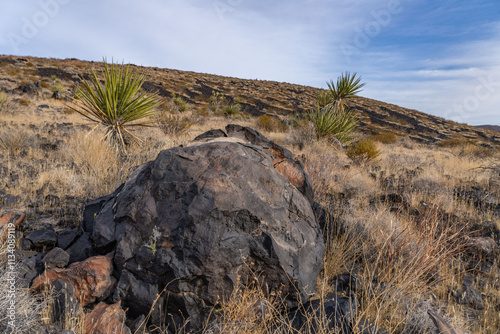 A volcanic bomb or lava bomb. Cima volcanic field. Kelbaker Road, Mojave National Preserve. San Bernardino County, California. Mojave Desert / Basin and Range Province. photo