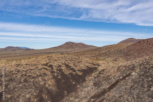  Cima volcanic field. Kelbaker Road, Mojave National Preserve. San Bernardino County, California. Mojave Desert / Basin and Range Province. Yucca schidigera, Mojave yucca or Spanish dagger photo