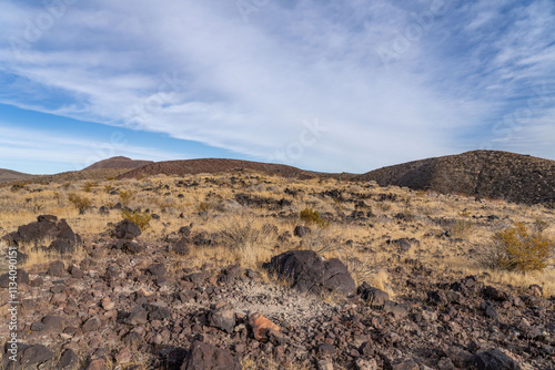  Cima volcanic field. Kelbaker Road, Mojave National Preserve. San Bernardino County, California. Mojave Desert / Basin and Range Province. Yucca schidigera, Mojave yucca or Spanish dagger photo