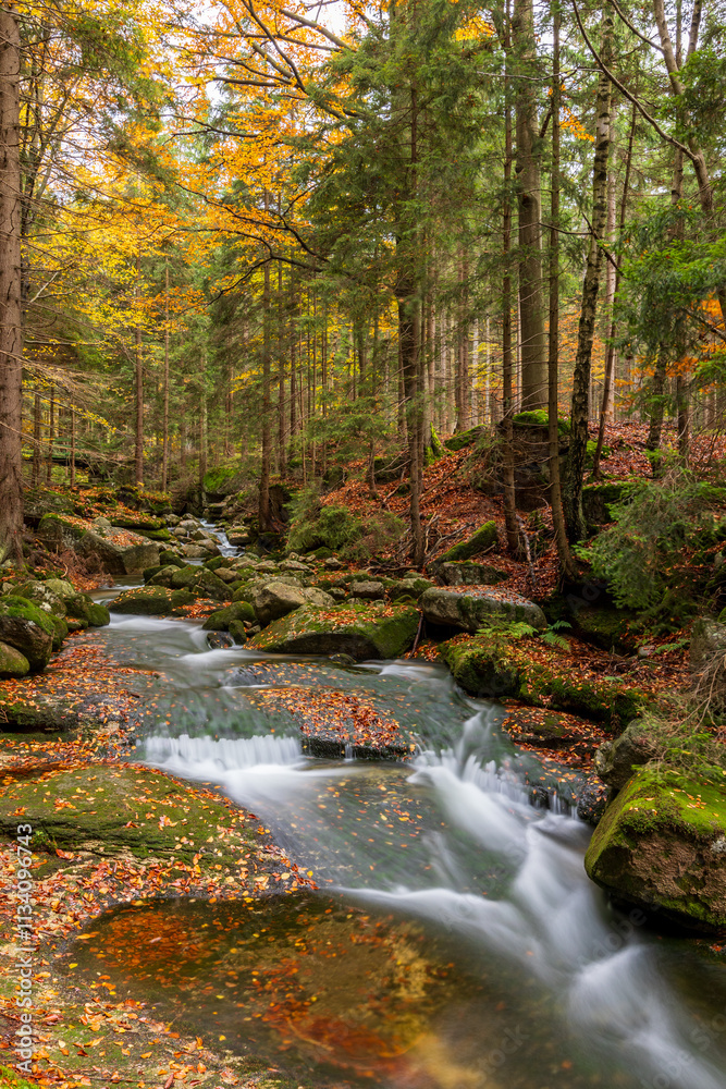 Mountain stream cascade in the autumn forest Mountain stream cascade in the autumn forest