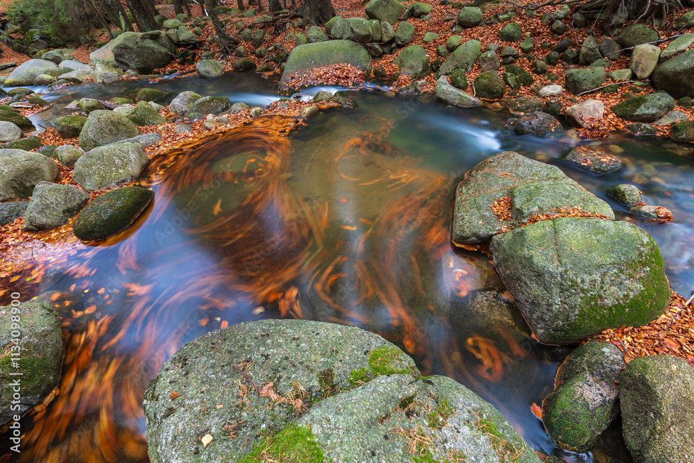 Mountain stream cascade in the autumn forest Mountain stream cascade in the autumn forest