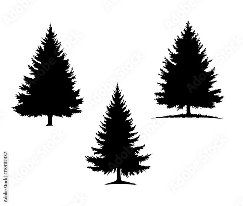 Nadelbaum