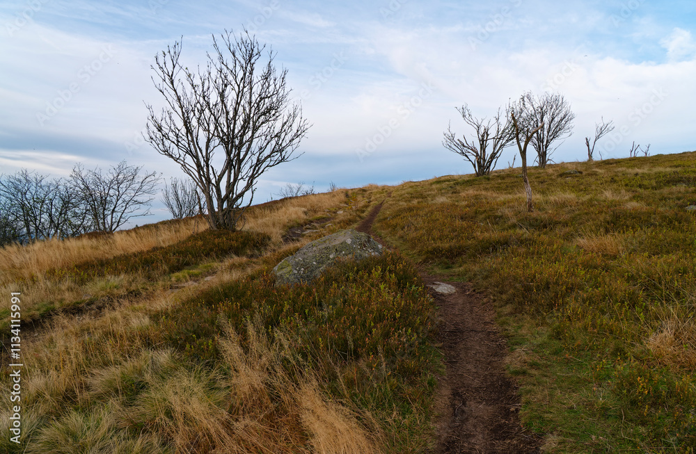 Rhönlandschaft zwischen Pferdskopf und Wasserkuppe, Gemeinde Poppenhausen, Biosphärenreservat Rhön, Hessen, Deutschland Rhönlandschaft zwischen Pferdskopf und Wasserkuppe, Gemeinde Poppenhausen, Biosphärenreservat Rhön, Hessen, Deutschland