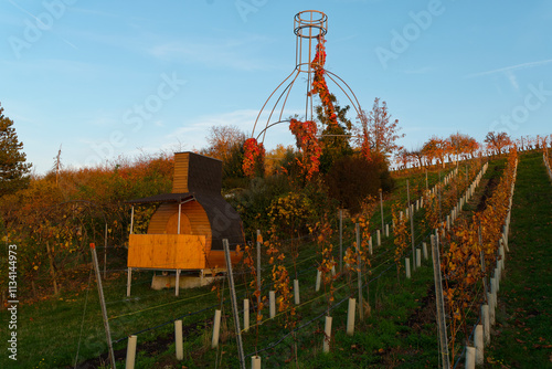 Landschaft und Weinberge bei Stammheim am Main im Abendlicht, Landkreis Schweinfurt, Unterfranken, Franken,  Bayern, Deutschland photo