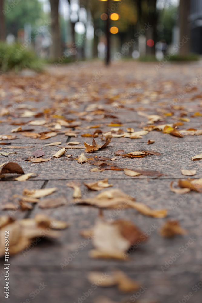 Fallen leaves are scattered on a boulevard paved with rectangular bricks, creating a warm, natural carpet. In the background, blurred trees and lights suggest an overcast autumn day. Fallen leaves are scattered on a boulevard paved with rectangular bricks, creating a warm, natural carpet. In the background, blurred trees and lights suggest an overcast autumn day.
