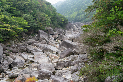屋久島の荒川登山口近くの橋から光景