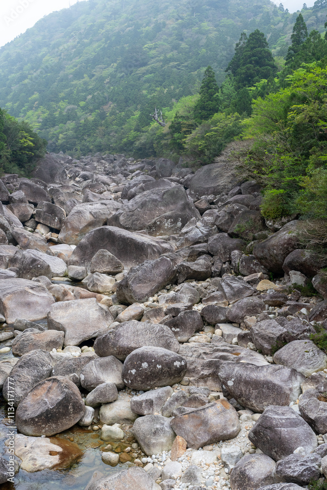 屋久島の荒川登山口近くの橋から光景
