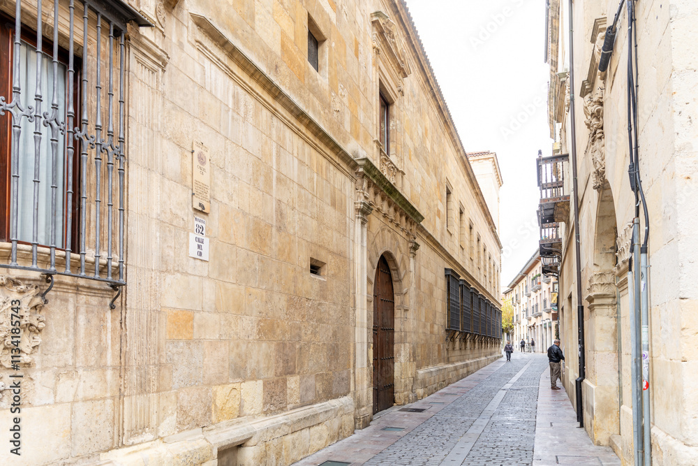 Leon, Spain - November 02, 2024: Exterior facade and details of the historic buildings in the city of Leon, Spain Leon, Spain - November 02, 2024: Exterior facade and details of the historic buildings in the city of Leon, Spain