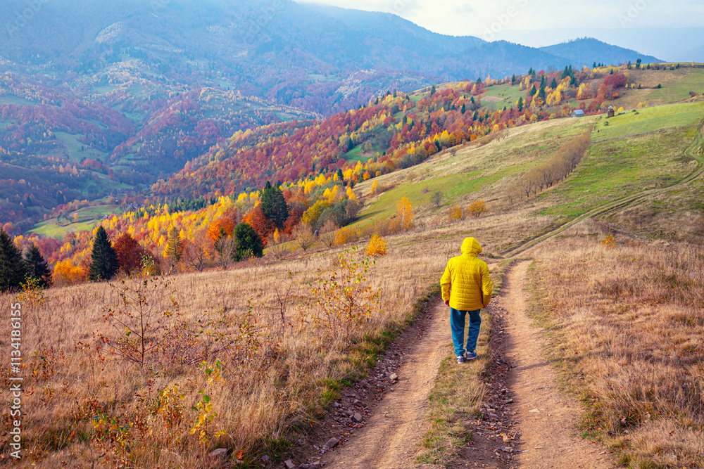 A man walks along a dirt road in the mountains in autumn