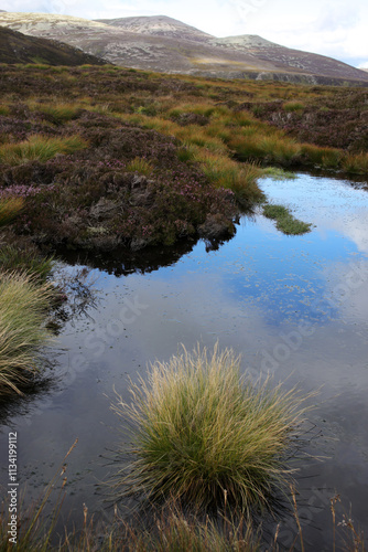 Bilde på lerret Trail between Broad Cairn summit, Loch Muick and Spittal of Glenmuick in the bac