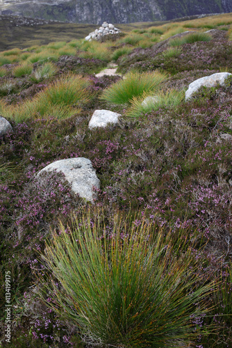 Foto Trail between Broad Cairn summit, Loch Muick and Spittal of Glenmuick in the bac