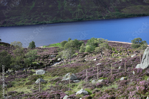 Trail between Broad Cairn summit, Loch Muick and Spittal of Glenmuick in the background - Aberdeenshire - Scotland - UK photo