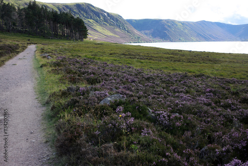 Bilde på lerret Trail between Broad Cairn summit, Loch Muick and Spittal of Glenmuick in the bac