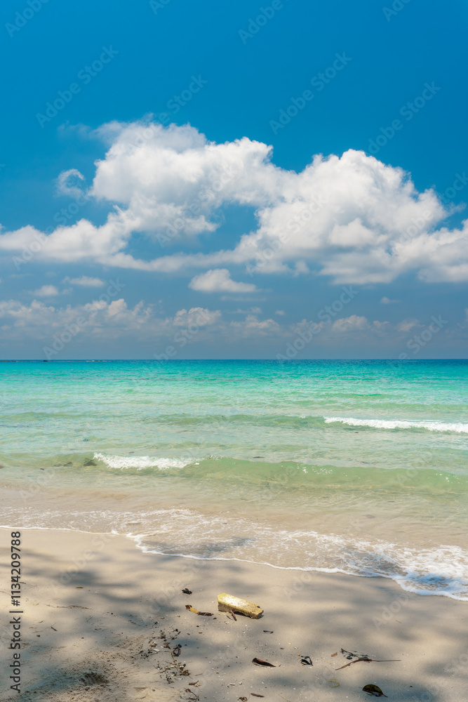 Beautiful tropical beach with scenery palm tree, crystal clear ocean on nature background Beautiful tropical beach with scenery palm tree, crystal clear ocean on nature background