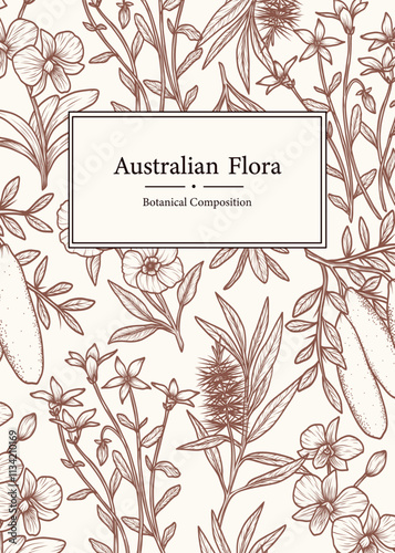 Hand drawn Australian native plants and flowers card. Cooktown orchid, eremophila, finger lime, Sturt's desert rose, royal bluebell, tea tree
