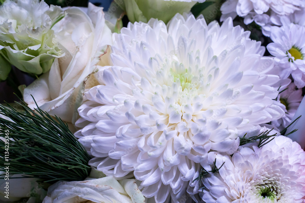 bouquet of white dahlias close-up. Women's Day bouquet of white dahlias close-up. Women's Day