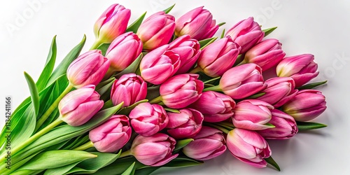 High-resolution aerial shot of a pink tulip bouquet, isolated on white.  A stunning floral image.