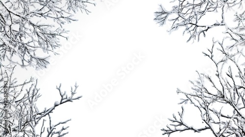 black and white background