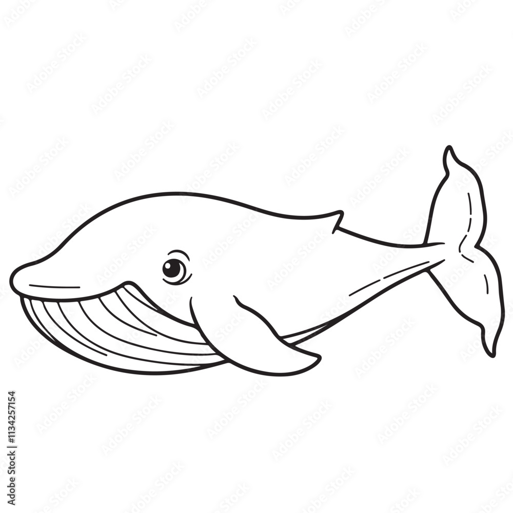 Whale line art vector on white background Whale line art vector on white background